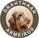 (c) Armeiros-drahthaar.com